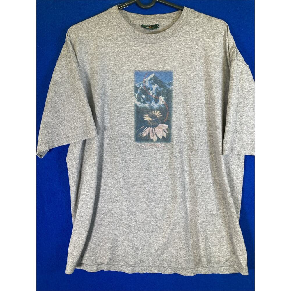 Vintage 90s American Eagle Outfitters Mountain Graphic T-Shirt Gray Mens Large
